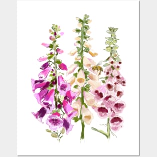 Foxglove Posters and Art